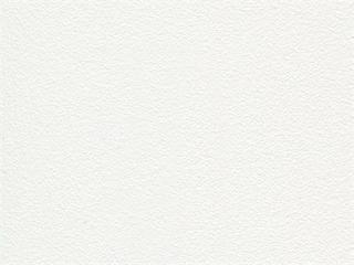 Finish: Arctic White