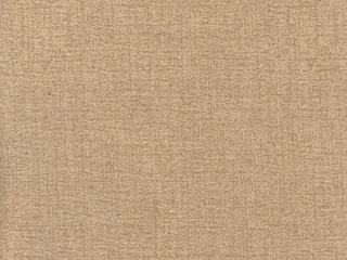 Welt: Husk Texture Birch