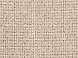 Fabric: Sunbrella Bliss Sand