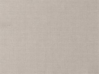 Fabric: Plain Neutral