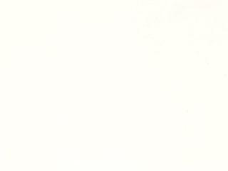 Finish: White