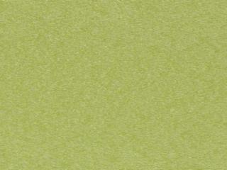 Polywood Finish: Lime MGP