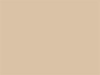 Strap Color: Camel