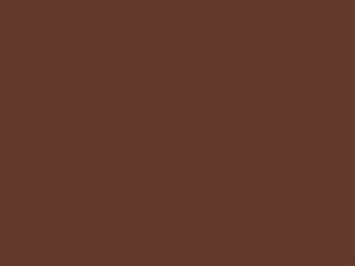 Strap Color: Dark Brown