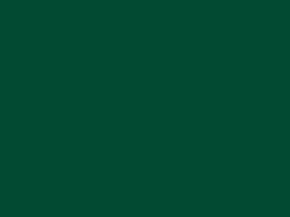 Seating Frame Finish: Sherwood Green