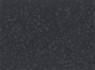 Strap Color: Textured Hammered Pewter