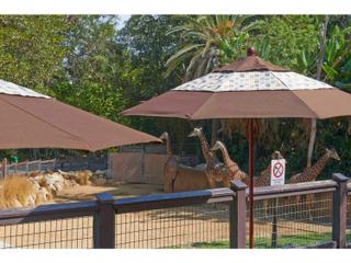 California Outdoor Umbrella Quick Ship Grove Series 9 Foot Octagon Market Wood Outdoor Umbrella with Push Lift System