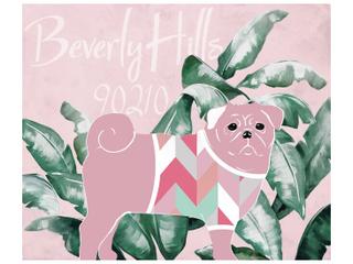 Animal Collection Wall Art