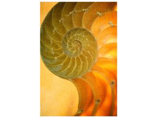 Ornate II Wall Art
