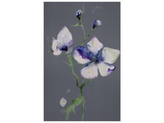 Nightly Bloom I Wall Art