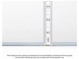 Dalyn Chantille Rectangular Area Rug