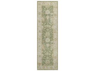 Hatay Bordered Runner Area Rug in Aloe Green