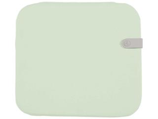 Luxembourg 16-Inch Dralon Chair Cushion in Mint