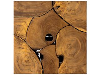 Four Hands Outdoor Providence Teak Root Square End Table