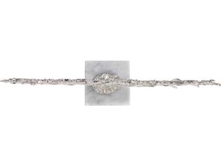 Howard Elliott Silver Leaf Study of Coral Sculpture