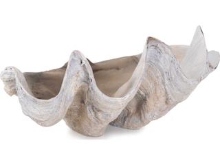 Howard Elliott Large Vongole