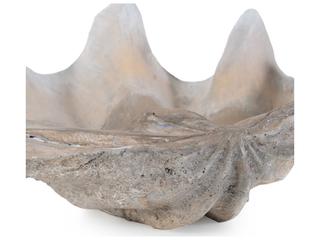 Howard Elliott Large Vongole