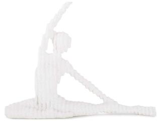 Howard Elliott White Yin Reverse Yoga Pose