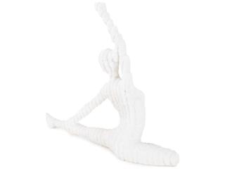 Howard Elliott White Yin Reverse Yoga Pose