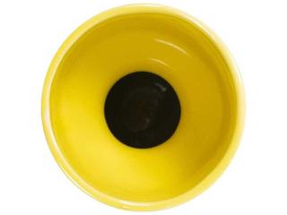 Howard Elliott Holland Daffodil Vase