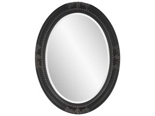 Queen Ann Oval Wall Mirror in Antique Black Finish