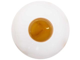 Howard Elliott Grasberg White Orange Vase