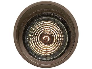 Hinkley Line Voltage Spot Outdoor Light