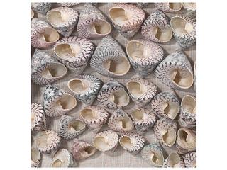 Jamie Young 3D Wall Art