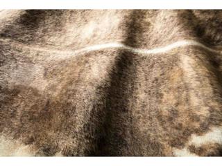 Loloi Rugs Grand Canyon Animal Prints Area Rug
