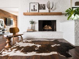 Loloi Rugs Grand Canyon Animal Prints Area Rug