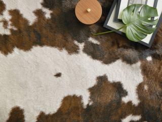 Loloi Rugs Grand Canyon Animal Prints Area Rug