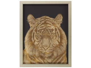 Paragon Tiger Portrait Shadow Box