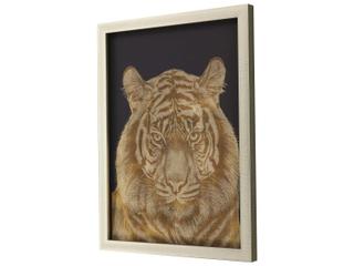 Paragon Tiger Portrait Shadow Box