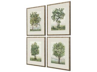 Paragon Landscapes Countryside Growth Wall Art Set of 4