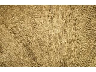 Phillips Collection Gold Leaf Round Wall Mirror