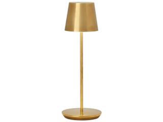 Visual Comfort Modern Nevis Natural Brass Table Lamp