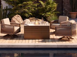 Woodard Eve Aluminum Cushion Lounge Set