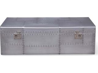 Zentique Elias Silver Aluminum Storage Trunk