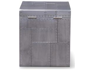 Zentique Elio Silver Aluminum Storage Trunk