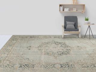 Amer Rugs Narcenia Bordered Area Rug
