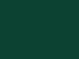 Drawer Finish: Green RAL 6005