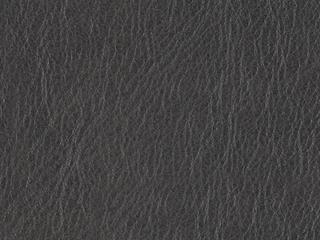 Upholstery: 363-011 - Leather