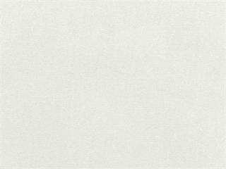 Cushion Color: Sunbrella Canvas Natural
