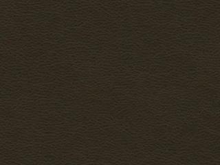 Leather: Copola-08 Brown Leather