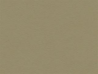 Leather: Copola-10 Brown Leather