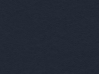 Leather: Copola-23 Blue Leather