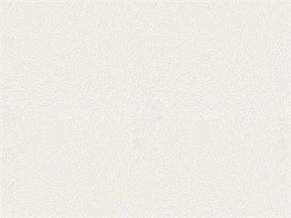 Leather: Copola-31 White Leather