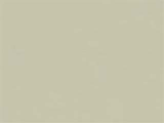 Leather: Copola-32 White Leather