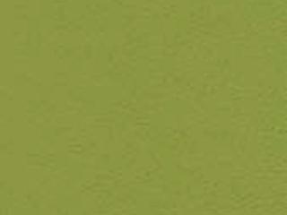 Seating Frame Finish: Green
