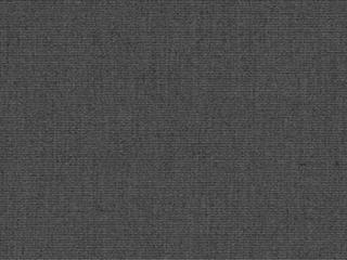 Fabric: Sunbrella Canvas Charcoal